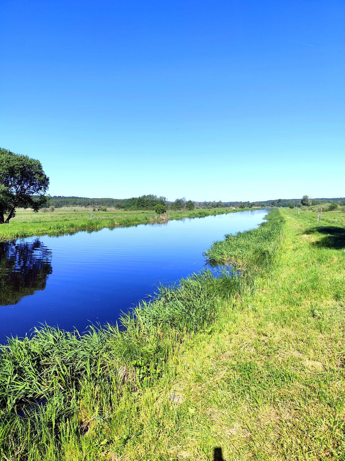 Foto vom Oderbruch-Höhenweg 16