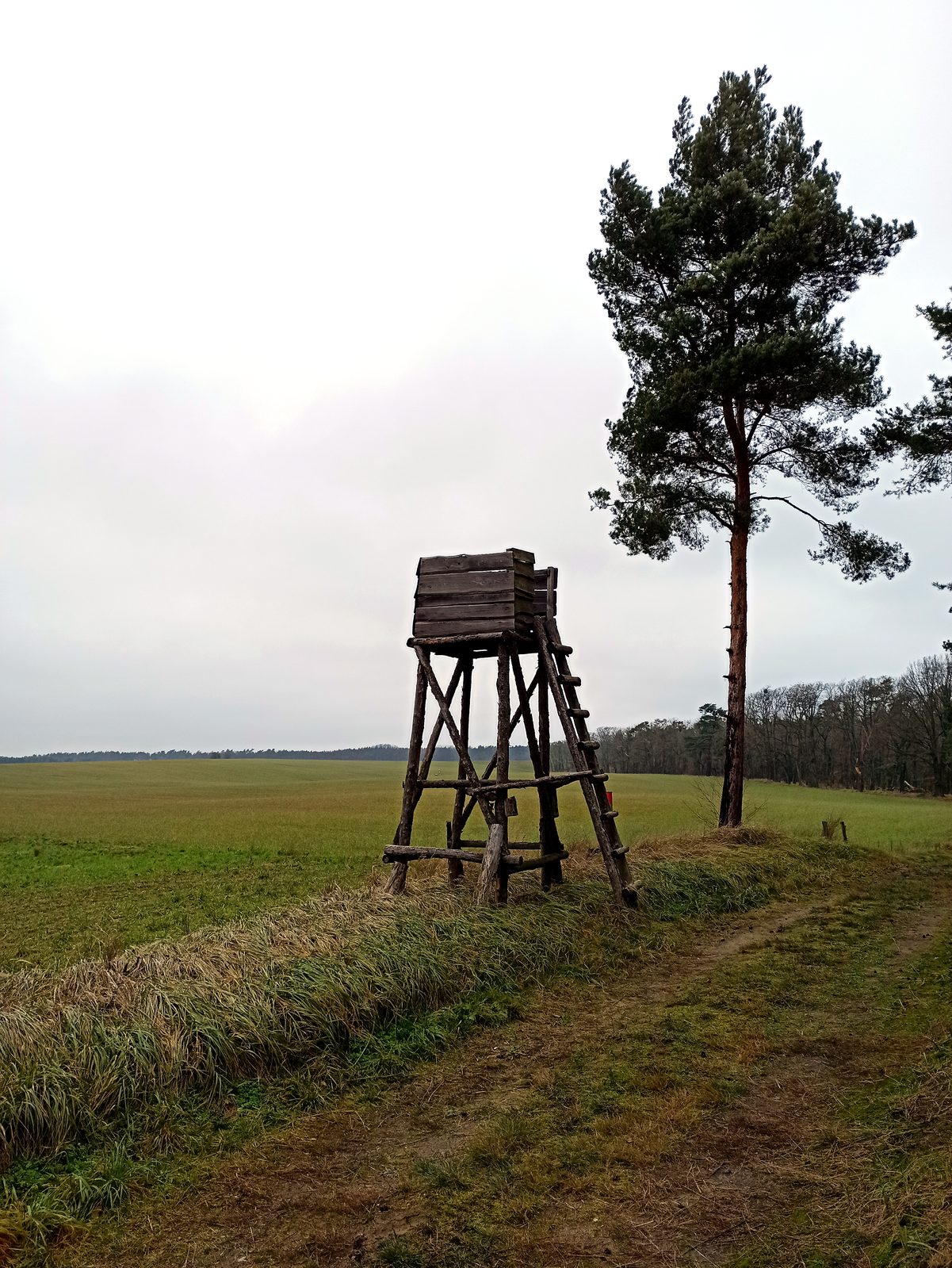 Foto vom Oderbruch-Höhenweg 25