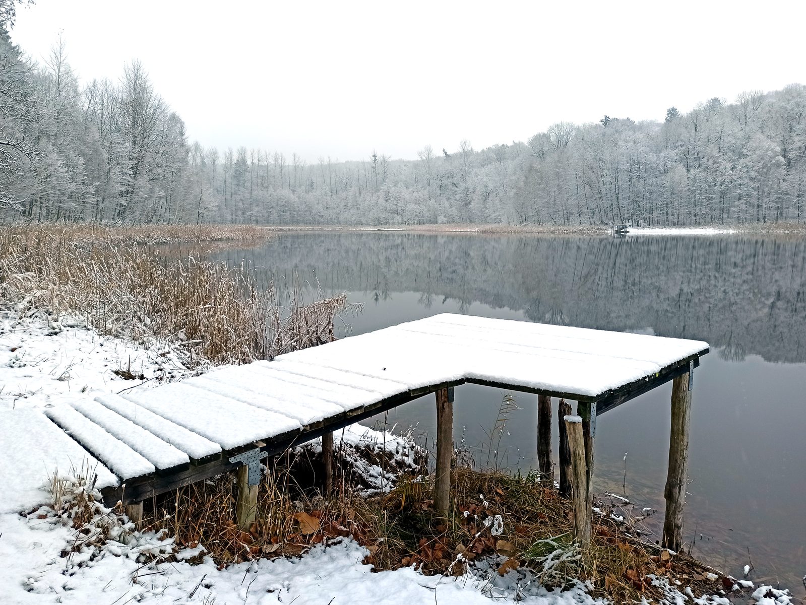 Foto vom Oderbruch-Höhenweg 27