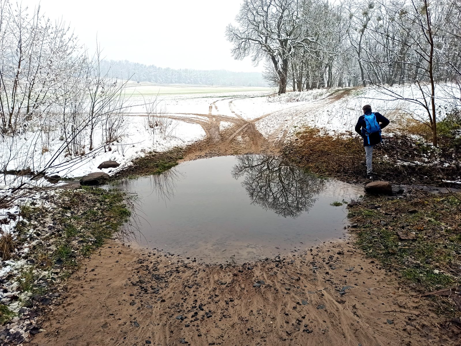 Foto vom Oderbruch-Höhenweg 29