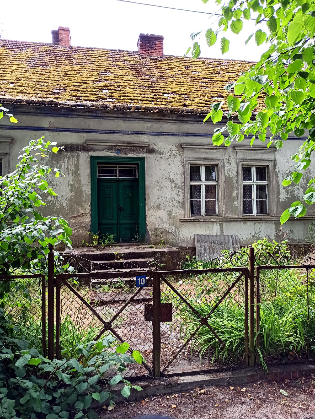 Foto vom Oderbruch-Höhenweg 36