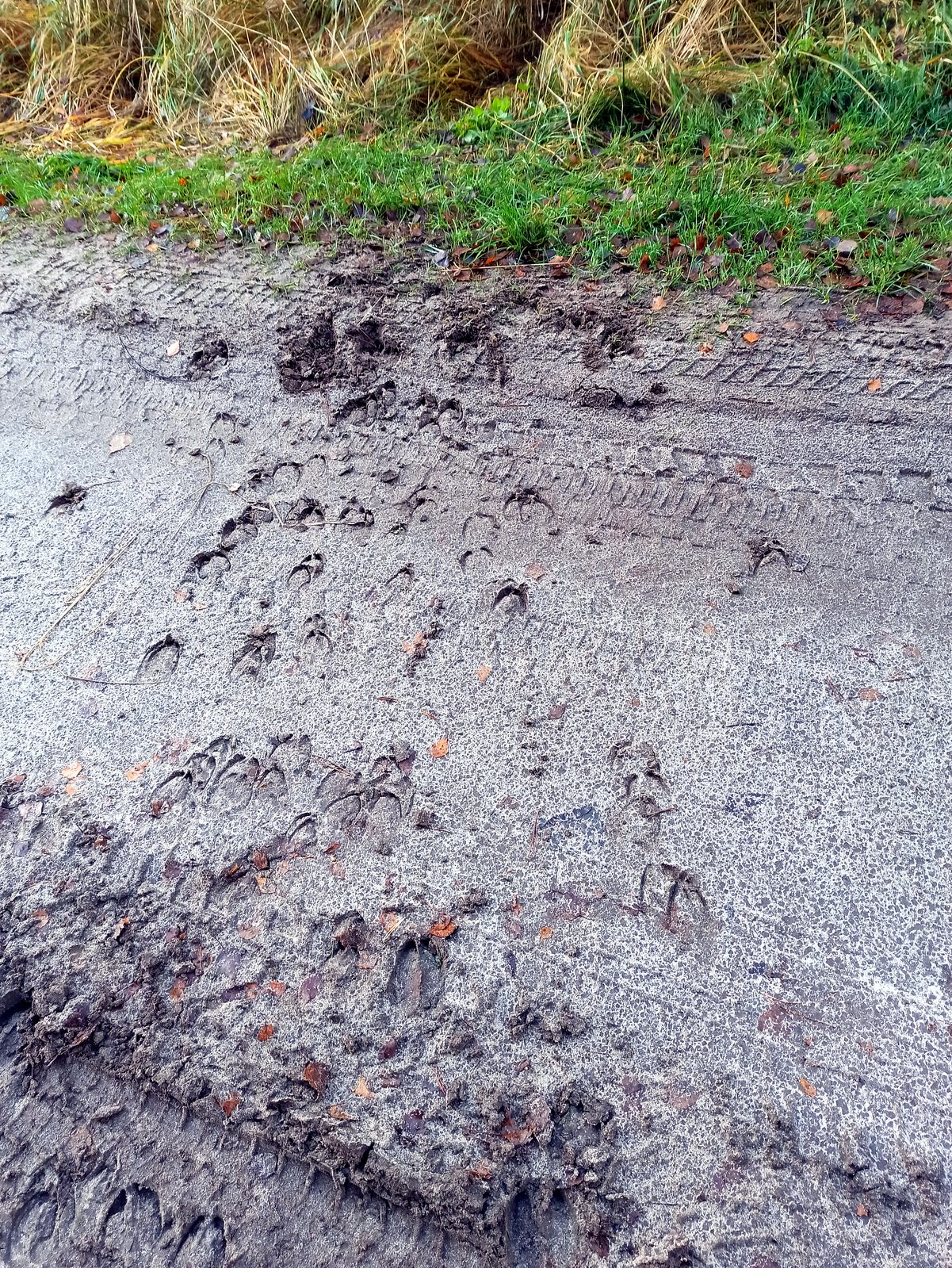Foto vom Oderbruch-Höhenweg 39