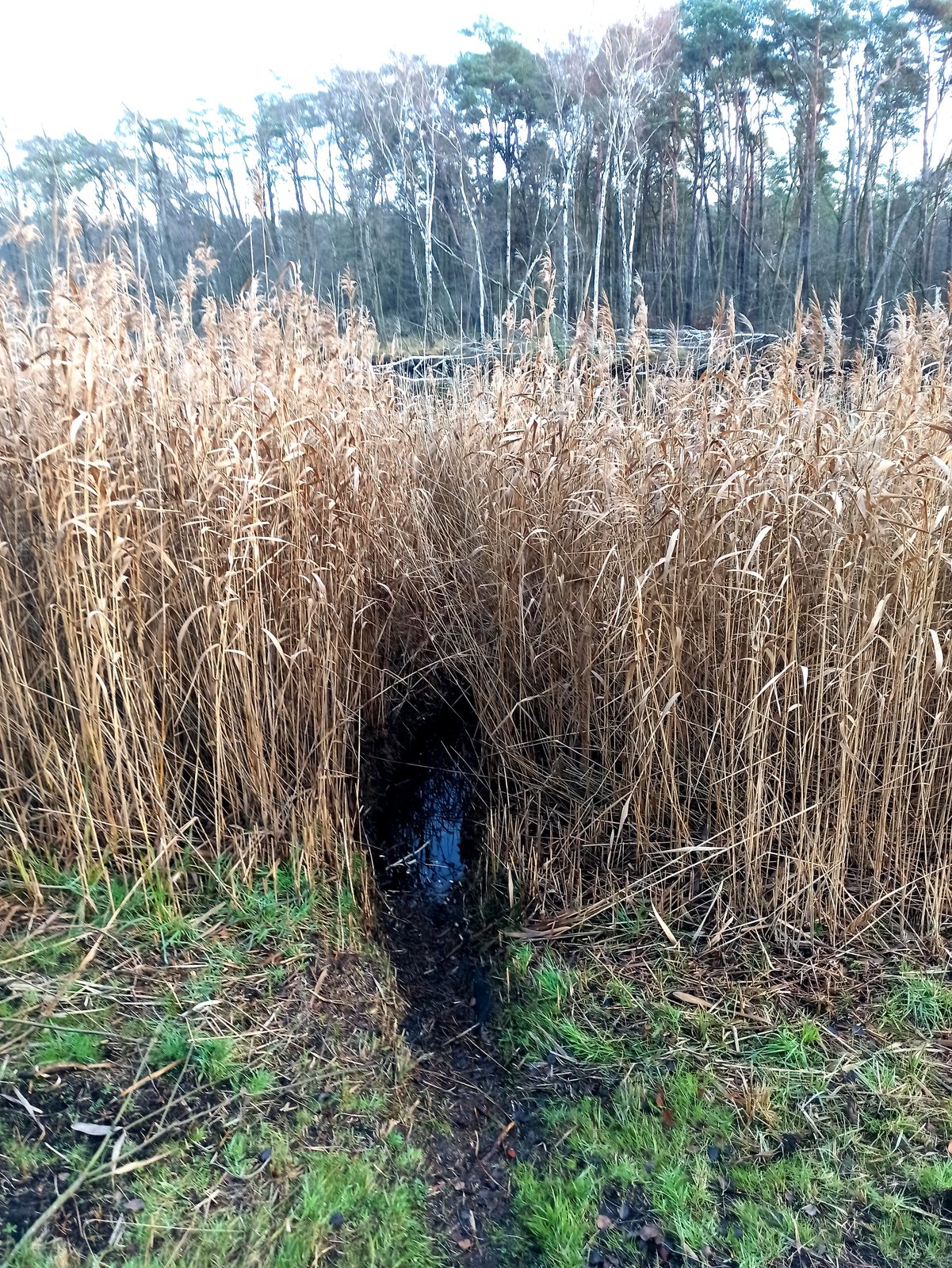 Foto vom Oderbruch-Höhenweg 40